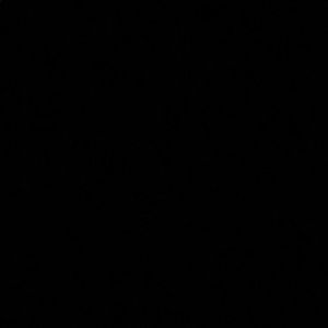 Meet your Posher, Dani